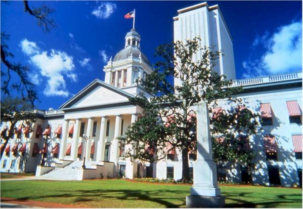 Florida Background Check