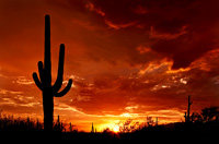 Arizona Private Investigator
