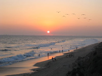 Huntington Beach Private Investigator