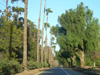 Riverside Private Investigator
