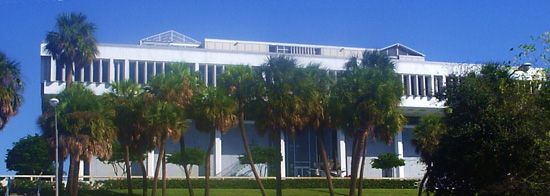Clearwater Background Check