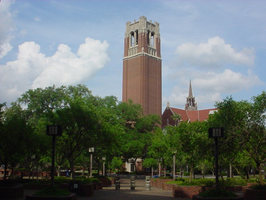 Gainesville Background Check
