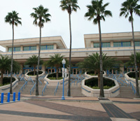 Tampa Private Investigator