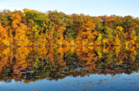 Ann Arbor Private Investigator