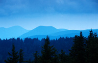 North Carolina Private Investigator