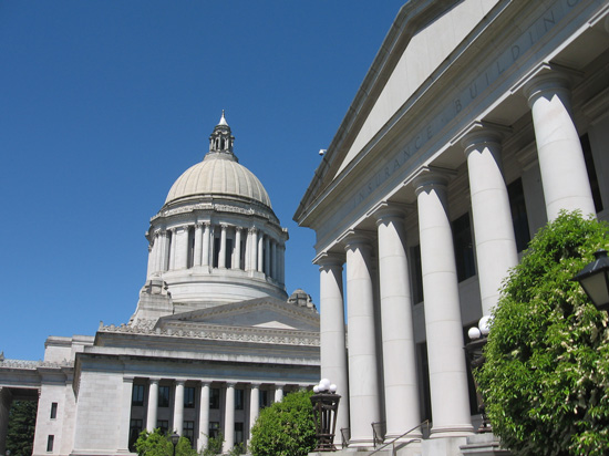 Olympia Background Check