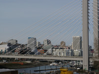 Tacoma Private Investigator