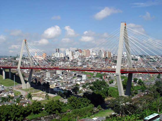 Pereira Background Check