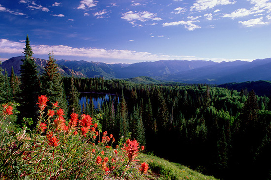 Arvada Background Check