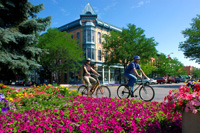 Fort Collins Private Investigator
