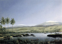 Hilo Private Investigator