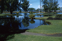 Hilo Private Investigator