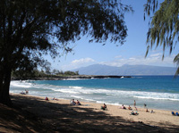Maui Private Investigator