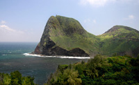 Maui Private Investigator