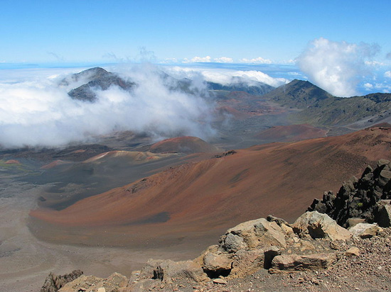 Maui Background Check