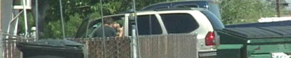 Banner Image 49