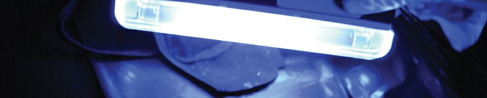 Banner Image 43